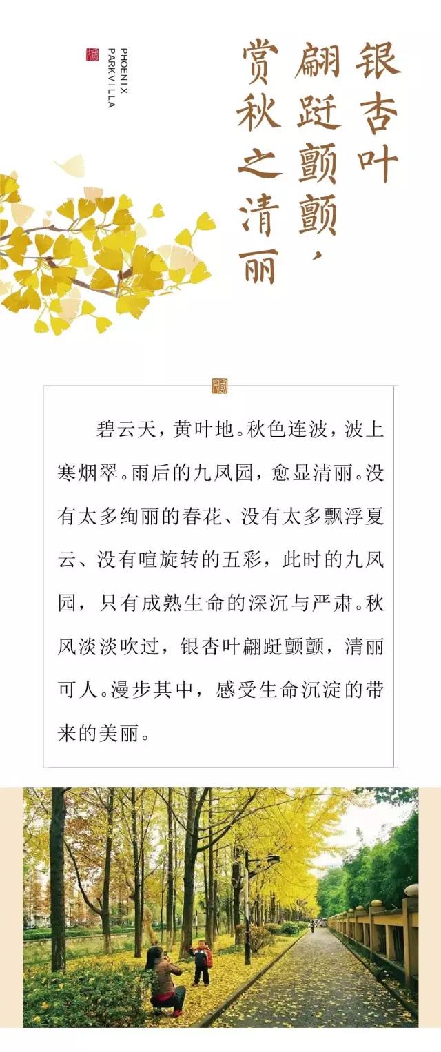 新奥2025最新资料