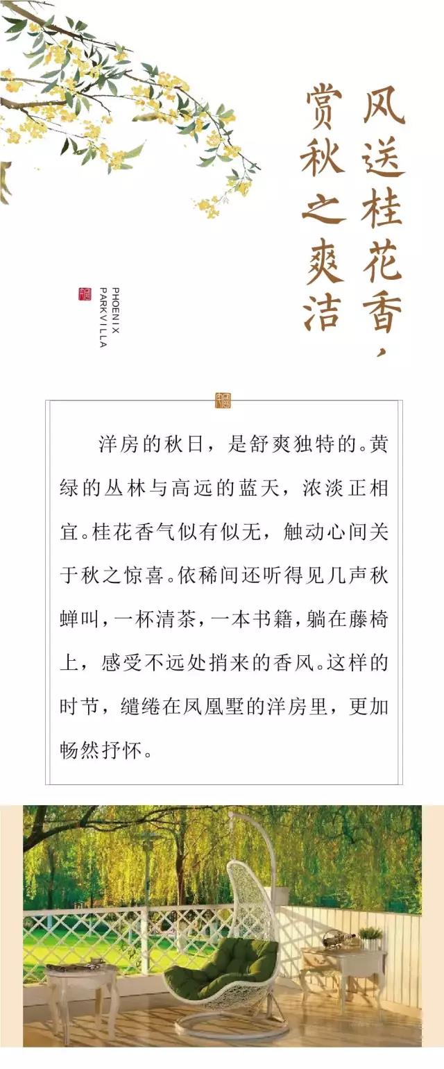 新奥2025最新资料