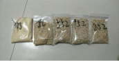 新奥2025最新资料